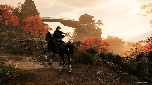 Rise of Ronin Playstation 5 Oyun